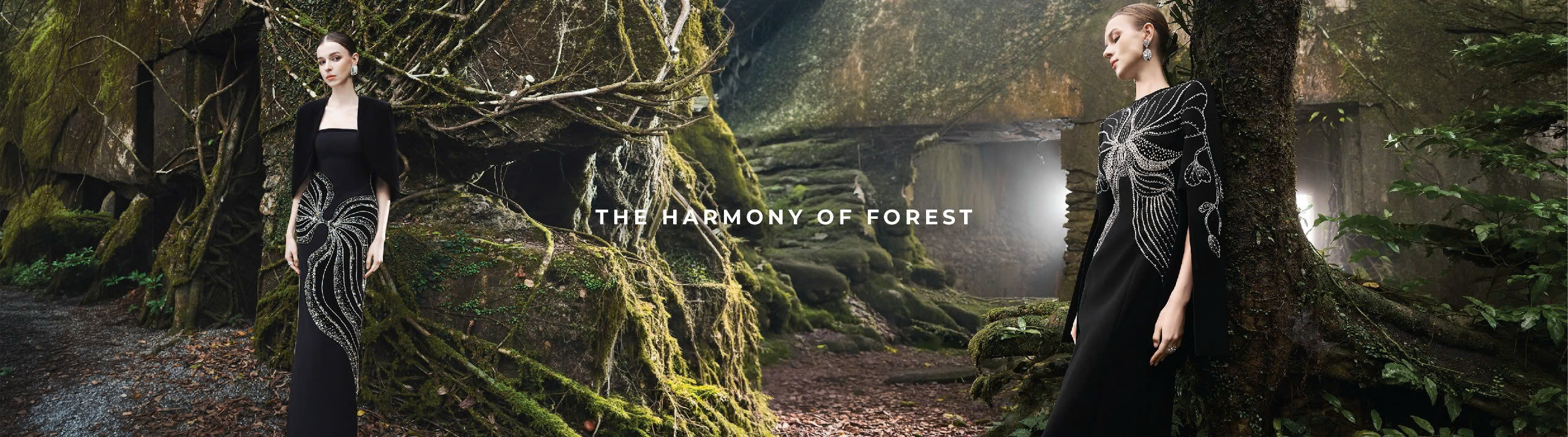 The Harmony Of Forest